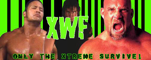XWF Banner #02